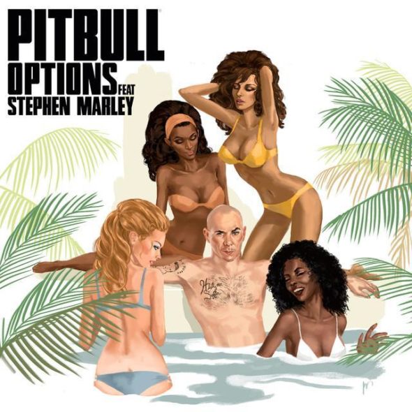 tn-Pitbull-Options-2017