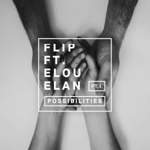 tn-flip-possibilities-cover1200x1200