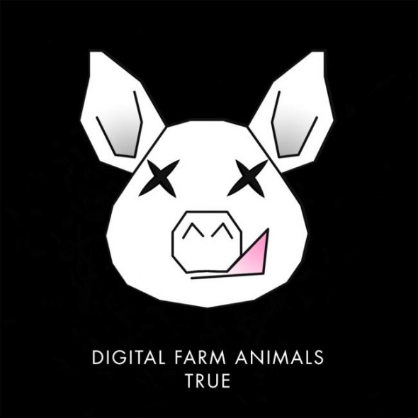 tn-digitalfarm-truedfa_true
