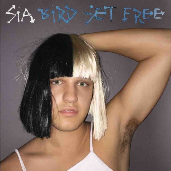 tn-Sia-Bird-Set-Free-2015