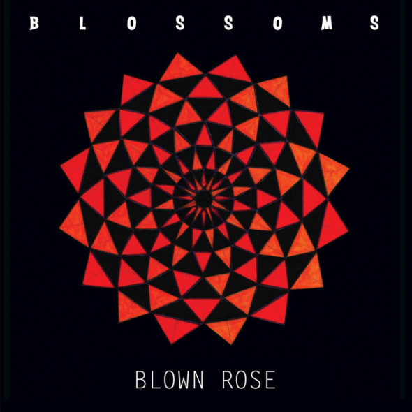 tn-blossoms-blownrose-1200x1200bb